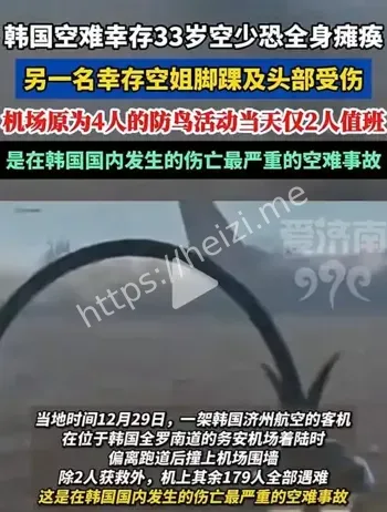 波音787印度空难幸存者