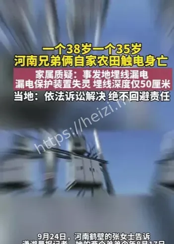 河南兄弟农田触电